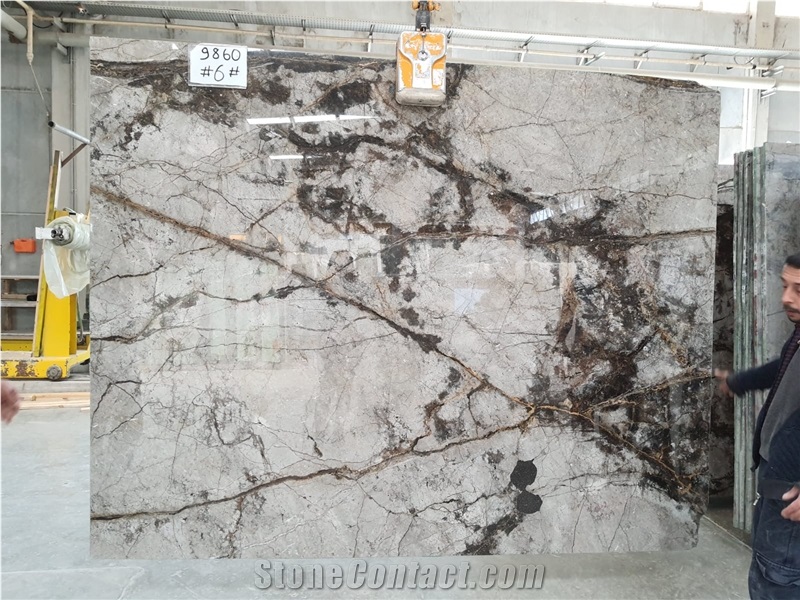 Fantastic Grey Marble- Desert Silver Marble Slabs