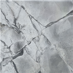  Brazilian Super White Grey Marble Slab For Hotel Design