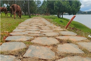 Bushed Hammered Black Basalt Stepping Stone