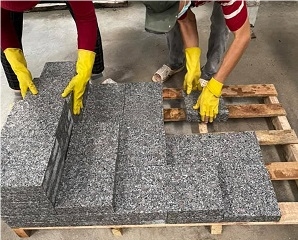 Vietnam Granite Paving Stone