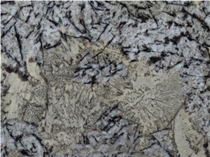 Absolute Cream Granite Slabs, Brazil Beige Granite