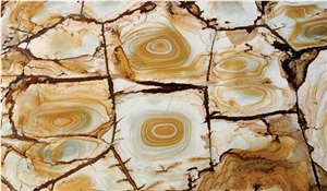 Palomino Quartzite Tiles & Slabs, Yellow Brazil Quartzite
