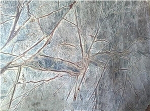Rain Forest Green Marble Slabs & Tiles, India Green Marble Rain Forest Green Marble Slabs & Tiles, India Green Marble