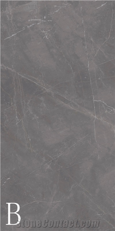 Century Grey (Light) Sintered Stone Slab