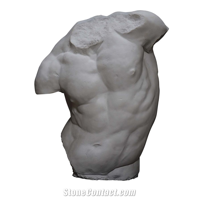 Strong Male Torso Sculpture