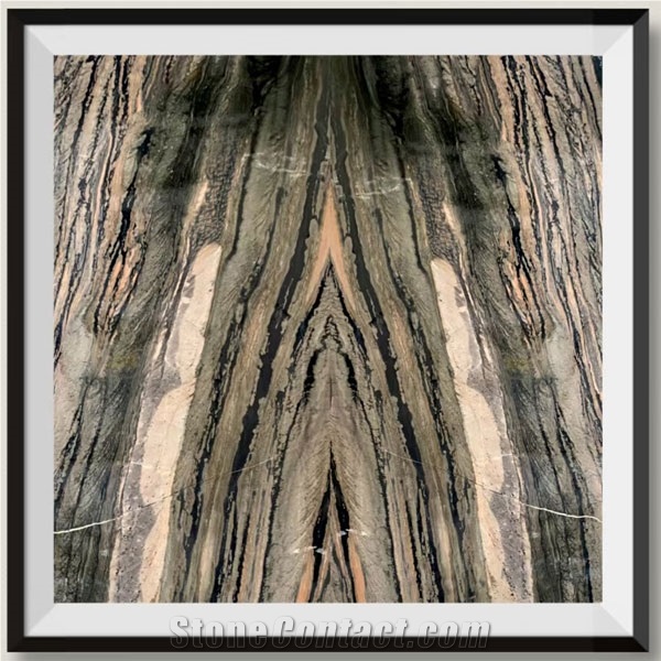 Brazil Polished Open Book Veins Galapagos Quartzite Slabs