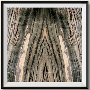 Brazil Polished Open Book Veins Galapagos Quartzite Slabs
