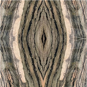 Brazil Polished Open Book Veins Galapagos Quartzite Slabs