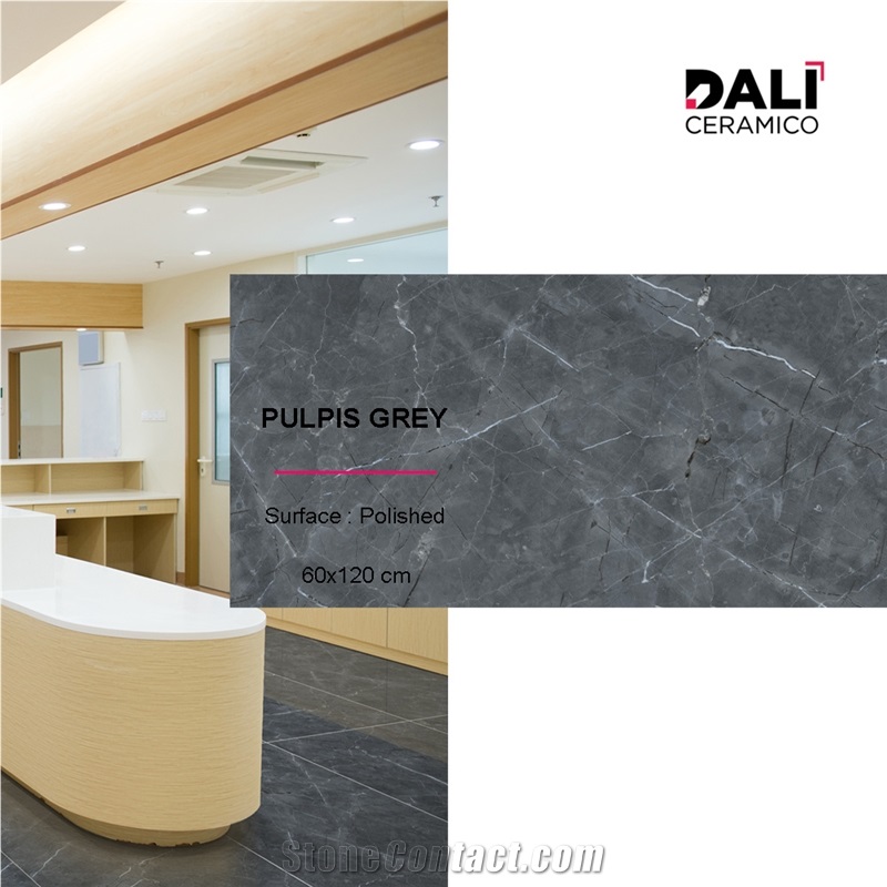 Plupis Grey Polished Porcelain Tiles