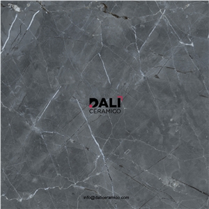 Plupis Grey Polished Porcelain Tiles