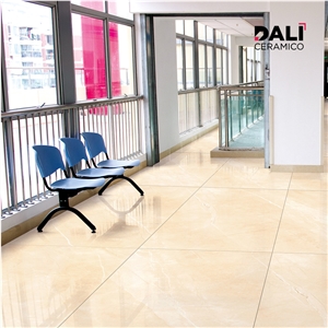 Polished Porcelain Floor Tiles (Armani)