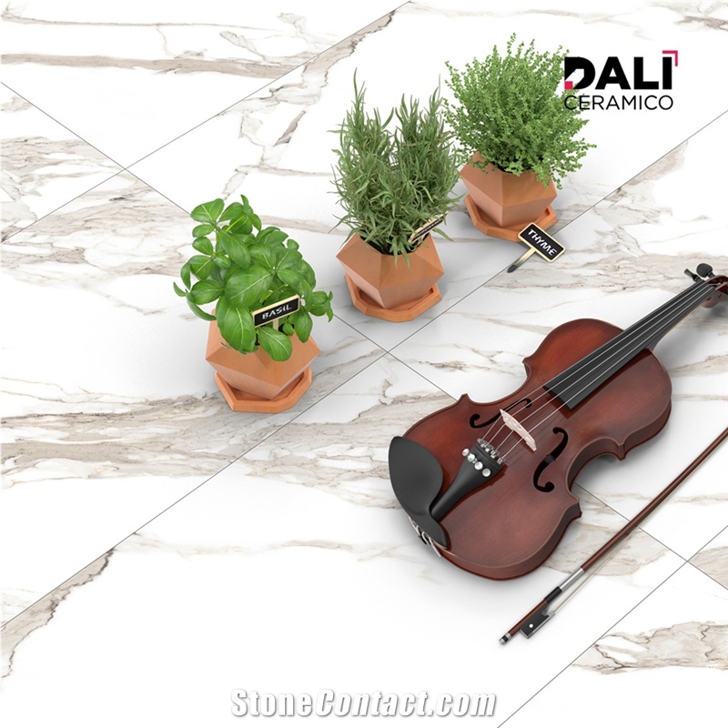 Statuario Carara Porcelain Tiles