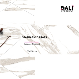 Statuario Carara Porcelain Tiles