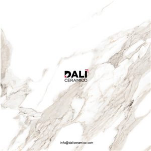 Statuario Carara Porcelain Tiles