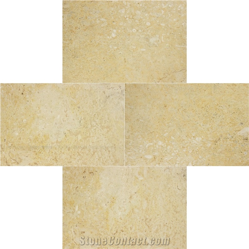 Coral Stone Tile 16X24 Honed Large Format Pattern