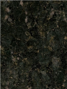 Granite Slabs Verde Butterfly Light 3/4 Inch Slab