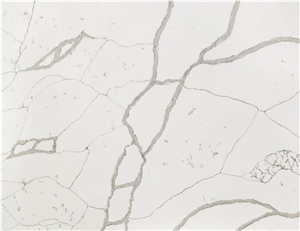 Calacatta White Quartz 03