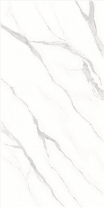 New Armani Grey Sintered Stone 1