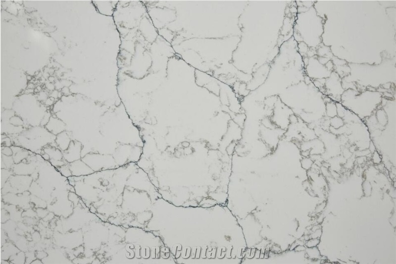 Statuary White Quartz 1