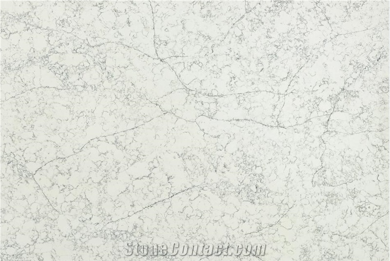 Statuary White Quartz 1