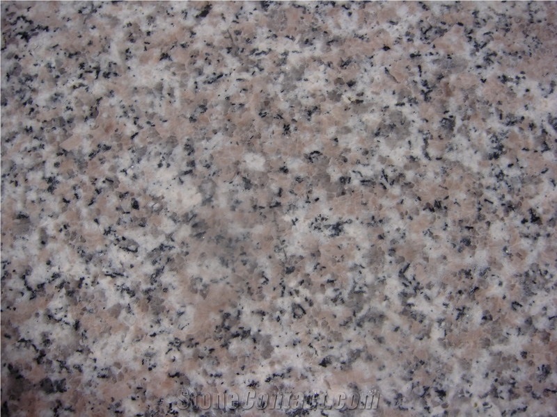 Anxi Red Granite Countertop