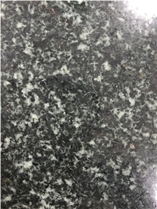China Forest Green Granite