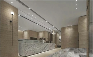 Gold Mocca Limestone Application 1
