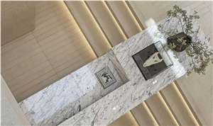 Gold Mocca Limestone Application 1
