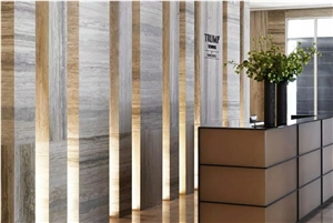 Italy Silver Travertine Application