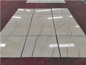 Sofitel Gold Marble
