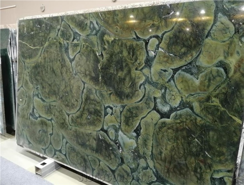 Vitoria Regia Quartzite Slabs