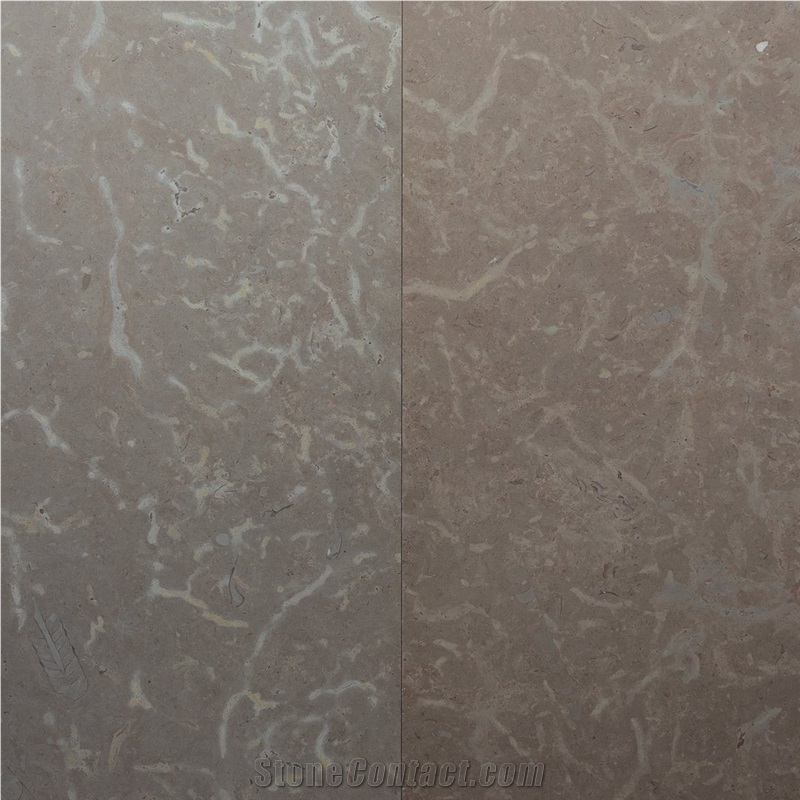 Grabrun Borghamn Limestone- Grey-Brown Borghamn Limestone