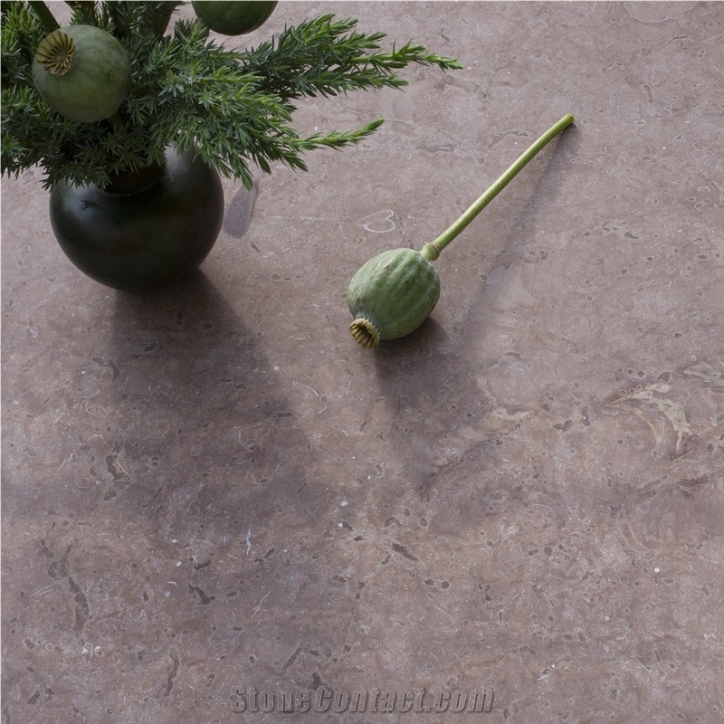 Red Oland Limestone Diamond Milled Wall-Floor Tiles