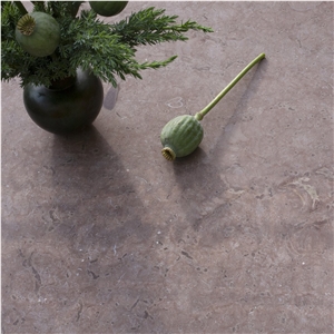 Red Oland Limestone Diamond Milled Wall-Floor Tiles