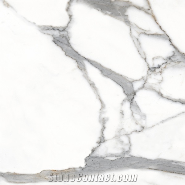ANTIQUE SATVARIO Glossy Porcelain Slabs