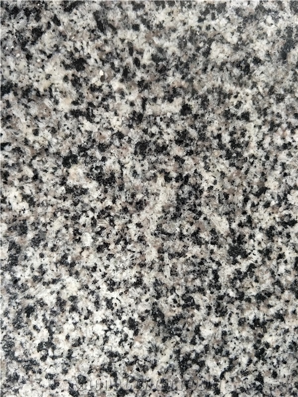Chinese G653 George Grey Granite Slabs And Tiles 
