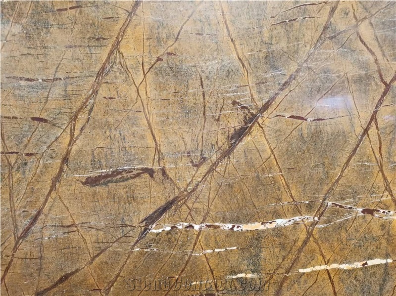 Natural Stone Rainforest Brown Marble Slabs 