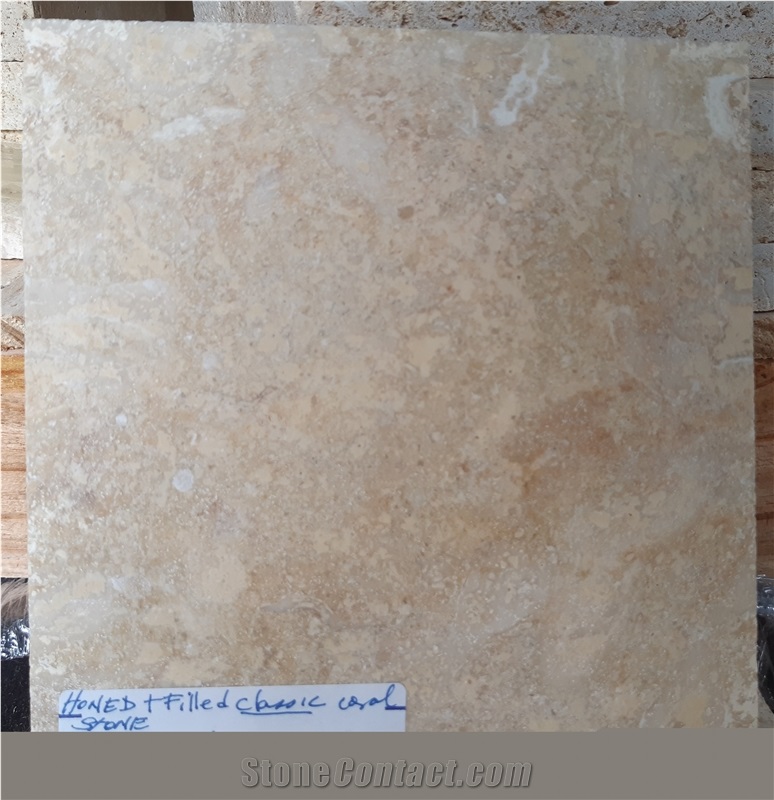 Honed Filled Finished 2 Dominican White Coral Stone