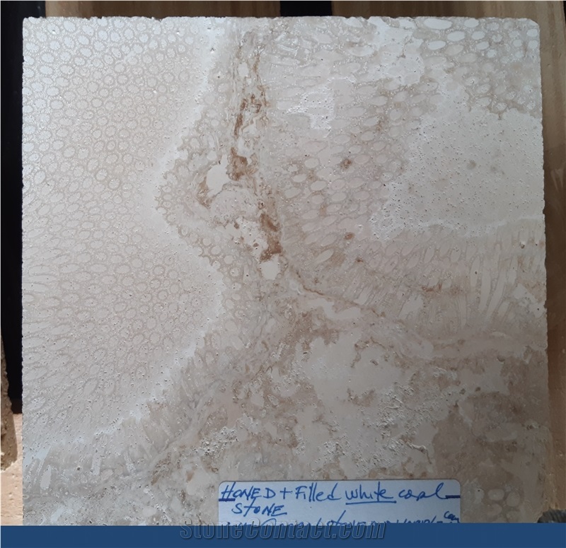 Honed Filled Finished 2 Dominican White Coral Stone