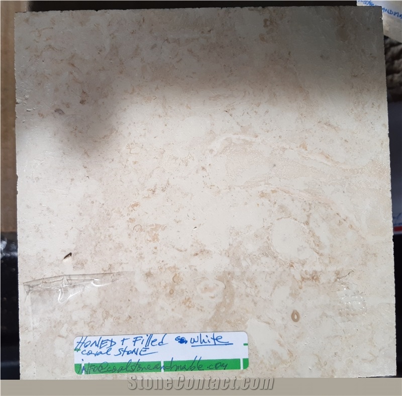 Honed Filled Finished 2 Dominican White Coral Stone