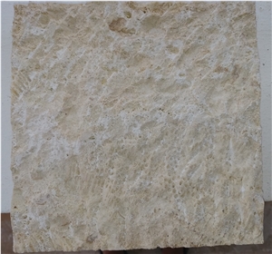 Honed Finished Coral Stone Tiles, Coral Stone Wall Tiles