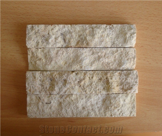 Honed Finished Coral Stone Tiles, Coral Stone Wall Tiles
