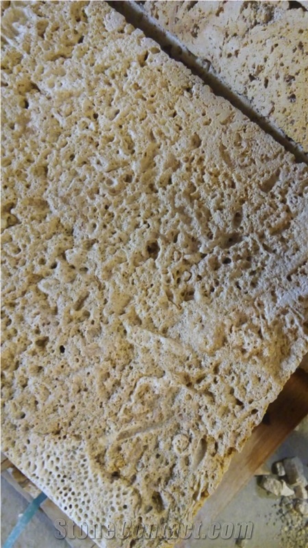 Honed Finished Coral Stone Tiles, Coral Stone Wall Tiles