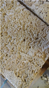 Honed Finished Coral Stone Tiles, Coral Stone Wall Tiles