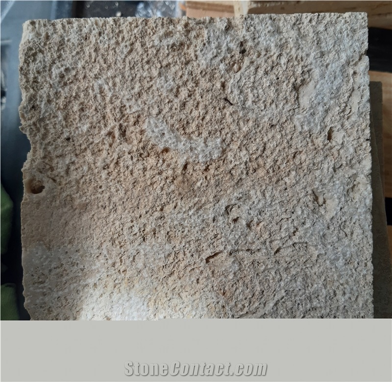 Honed Finished Coral Stone Tiles, Coral Stone Wall Tiles