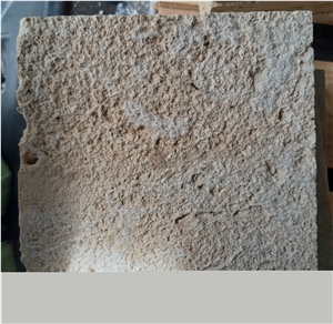 Honed Finished Coral Stone Tiles, Coral Stone Wall Tiles