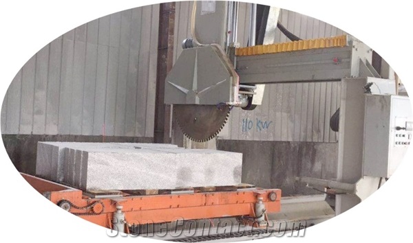 Curb Stone Auto Processing Line