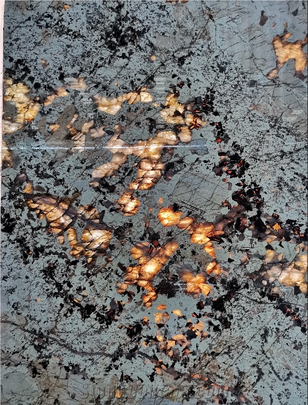Luxury Quartzite Snow Fox For Wall Cladding/Floor Covering
