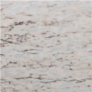 NET Z Pele De Tigre Marble Tiles, Slabs
