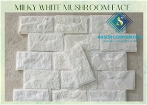 Hot Product Milky White Mushroom Face Wall Panel